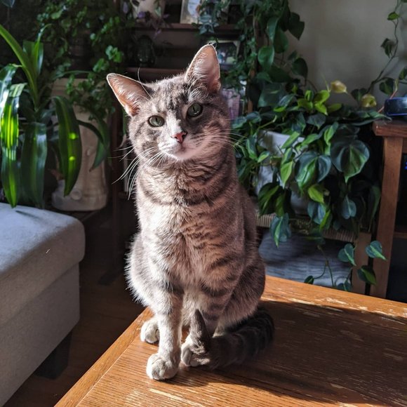 Meet your Posher, Jessica - Picture 11 of 13